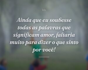 Ainda que eu soubesse todas as palavras que significam amor, faltaria muito para dizer o que sinto por você!