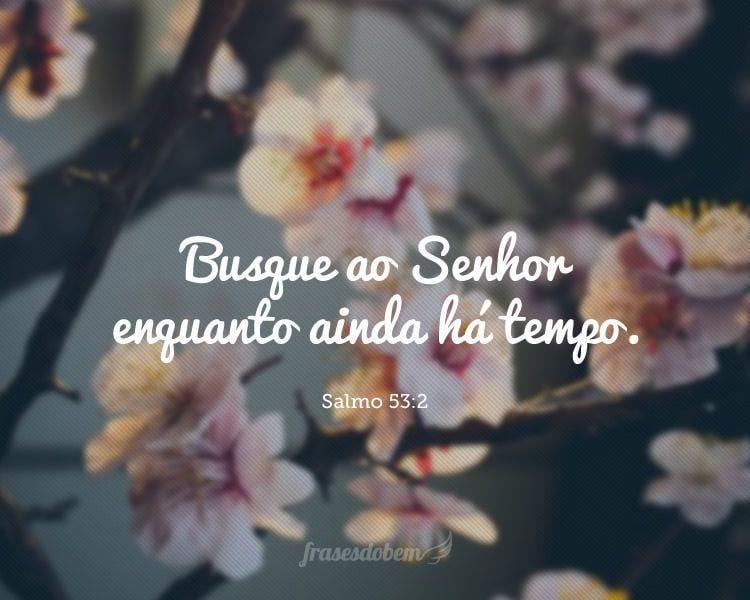 Busque ao Senhor enquanto ainda há tempo. (Salmo 53:2)