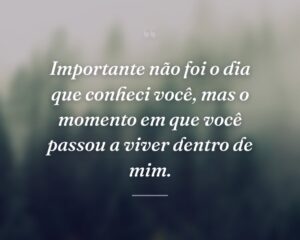 Importante não foi o dia que conheci você, mas o momento em que você passou a viver dentro de mim.