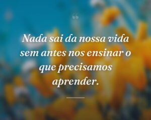 Nada sai da nossa vida sem antes nos ensinar o que precisamos aprender.