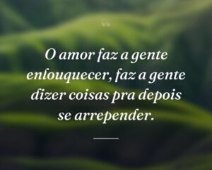 O amor faz a gente enlouquecer, faz a gente dizer coisas pra depois se arrepender.