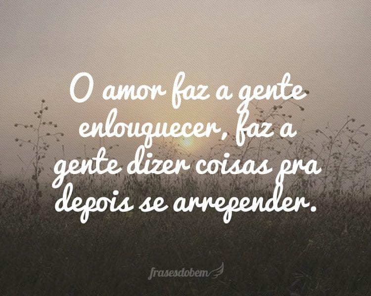 O amor faz a gente enlouquecer, faz a gente dizer coisas pra depois se arrepender.