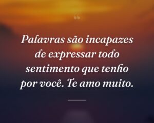 Palavras são incapazes de expressar todo sentimento que tenho por você. Te amo muito.