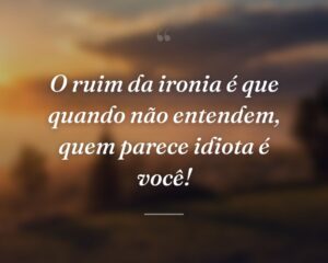 O ruim da ironia é que quando não entendem, quem parece idiota é você!