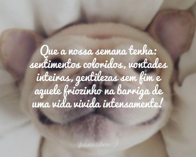 Que a nossa semana tenha: sentimentos coloridos, vontades inteiras, gentilezas sem fim e aquele friozinho na barriga de uma vida vivida intensamente!