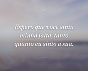 Espero que você sinta minha falta, tanto quanto eu sinto a sua.