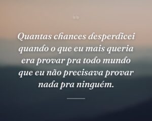 Quantas chances desperdicei quando o que eu mais queria era provar pra todo mundo que eu não precisava provar nada pra ninguém.