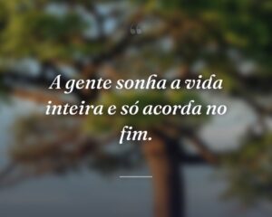 A gente sonha a vida inteira e só acorda no fim.