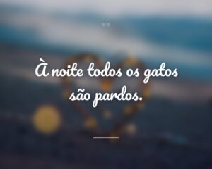 À noite todos os gatos são pardos.