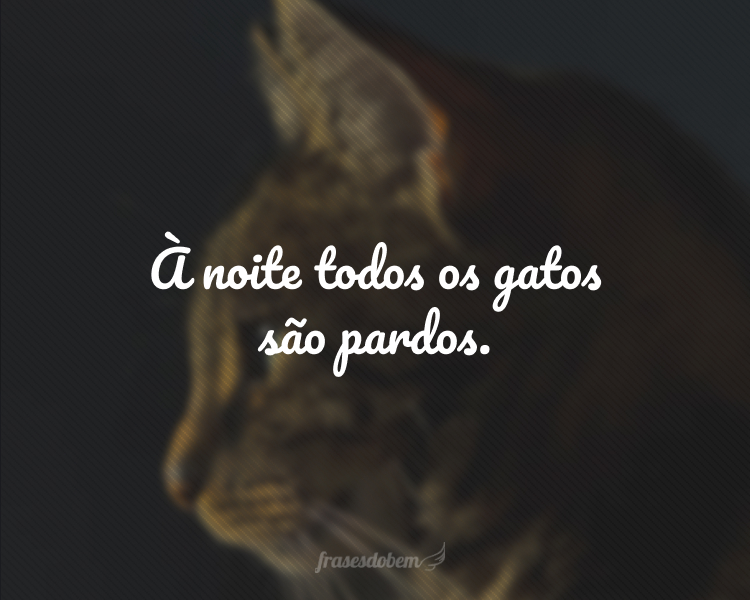 À noite todos os gatos são pardos.