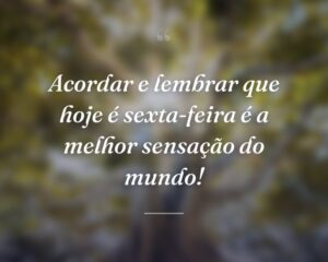 Acordar e lembrar que hoje é sexta-feira é a melhor sensação do mundo!