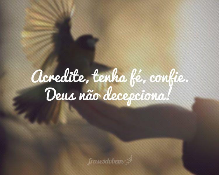 Acredite, tenha fé, confie. Deus não decepciona!