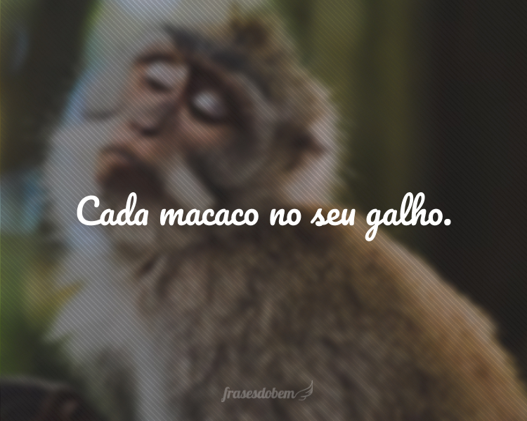 Cada macaco no seu galho.