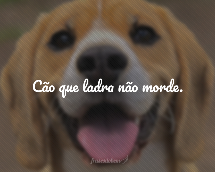 Cão que ladra não morde.