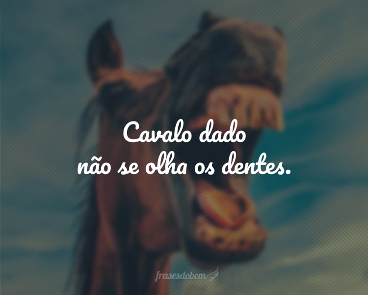 Cavalo dado não se olha os dentes.