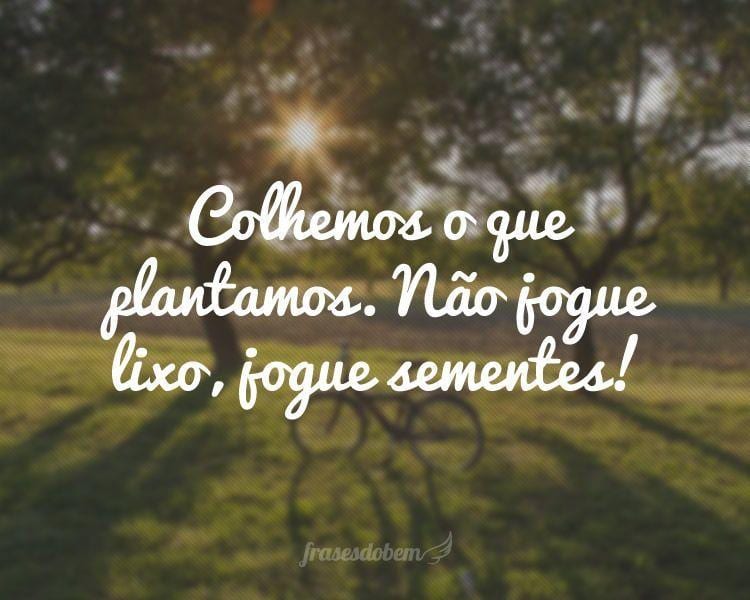 Colhemos o que plantamos. Não jogue lixo, jogue sementes!