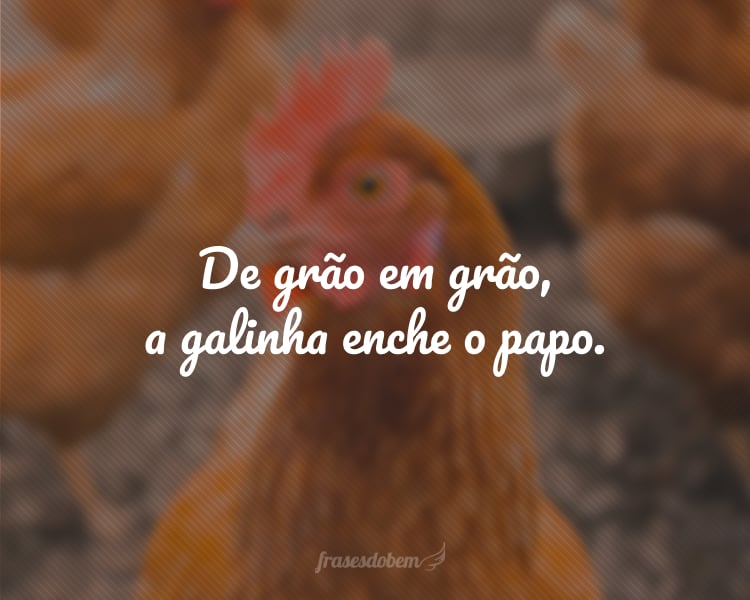 De grão em grão, a galinha enche o papo.