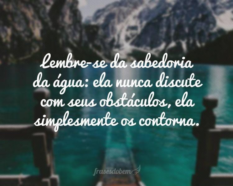 Lembre-se da sabedoria da água: ela nunca discute com seus obstáculos, ela simplesmente os contorna.