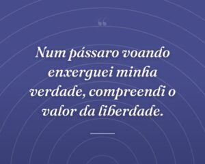 Num pássaro voando enxerguei minha verdade, compreendi o valor da liberdade.