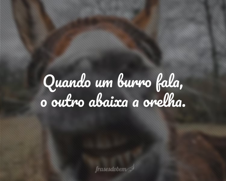 Quando um burro fala, o outro abaixa a orelha.