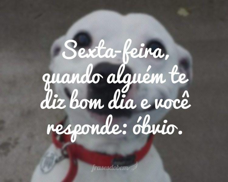 Sexta-feira, quando alguém te diz bom dia e você responde: óbvio.