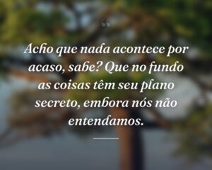 Acho que nada acontece por acaso, sabe? Que no fundo as coisas têm seu plano secreto, embora nós não entendamos.