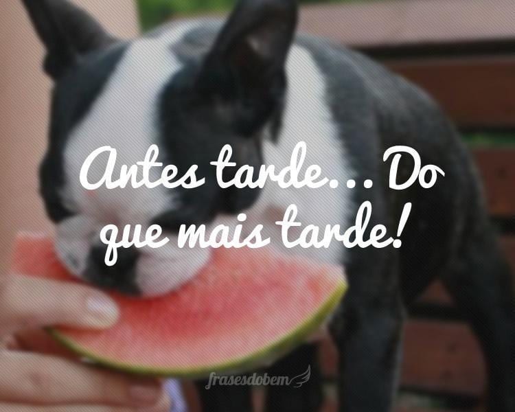 Antes tarde... Do que mais tarde!