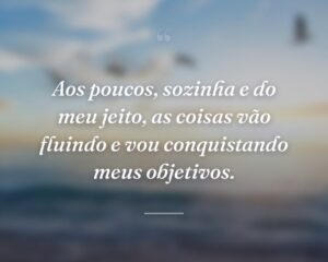 Aos poucos, sozinha e do meu jeito, as coisas vão fluindo e vou conquistando meus objetivos.