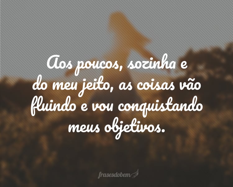 Aos poucos, sozinha e do meu jeito, as coisas vão fluindo e vou conquistando meus objetivos.