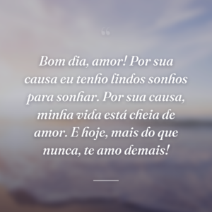 Bom dia, amor! Por sua causa eu tenho lindos sonhos para sonhar. Por sua causa, minha vida está cheia de amor. E hoje, mais do que nunca, te amo demais!