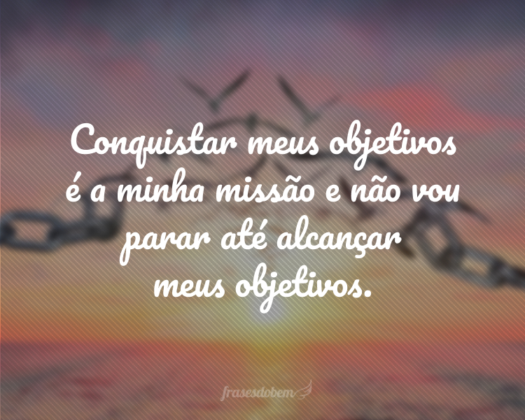 Conquistar meus objetivos é a minha missão e não vou parar até alcançar meus objetivos.