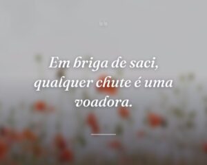 Em briga de saci, qualquer chute é uma voadora.