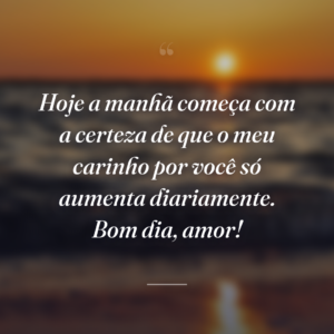 Hoje a manhã começa com a certeza de que o meu carinho por você só aumenta diariamente. Bom dia, amor!