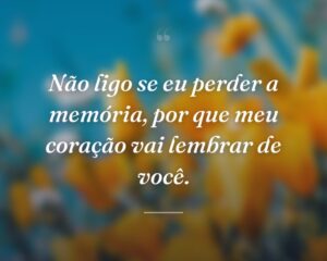 Não ligo se eu perder a memória, por que meu coração vai lembrar de você.