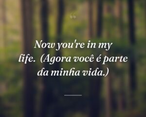 Now you're in my life.
(Agora você é parte da minha vida.)