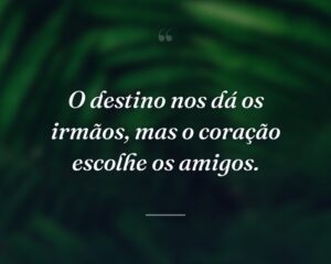 O destino nos dá os irmãos, mas o coração escolhe os amigos.