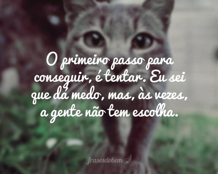 O primeiro passo para conseguir, é tentar. Eu sei que dá medo, mas, às vezes, a gente não tem escolha.