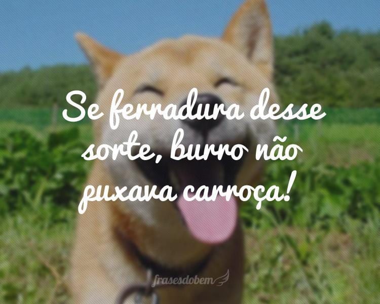 Se ferradura desse sorte, burro não puxava carroça!