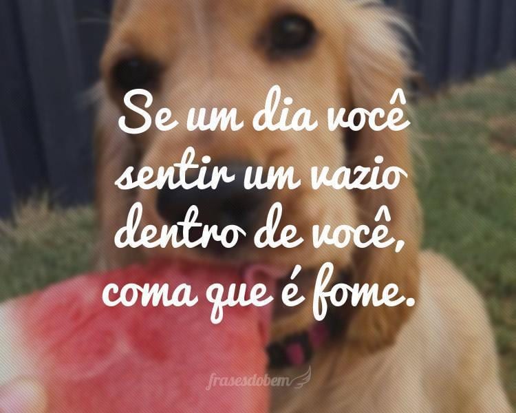 Frases de Humor