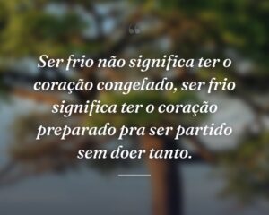Ser frio não significa ter o coração congelado, ser frio significa ter o coração preparado pra ser partido sem doer tanto.