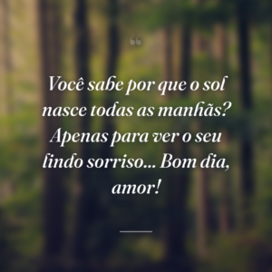 Você sabe por que o sol nasce todas as manhãs? Apenas para ver o seu lindo sorriso... Bom dia, amor!