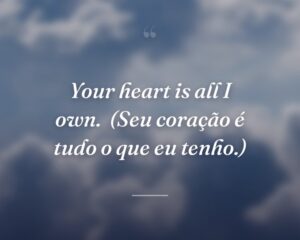 Your heart is all I own.
(Seu coração é tudo o que eu tenho.)