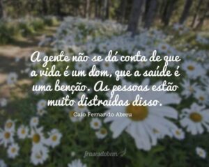 A gente não se dá conta de que a vida é um dom, que a saúde é uma benção. As pessoas estão muito distraídas disso.