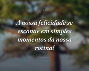 A nossa felicidade se esconde em simples momentos da nossa rotina!