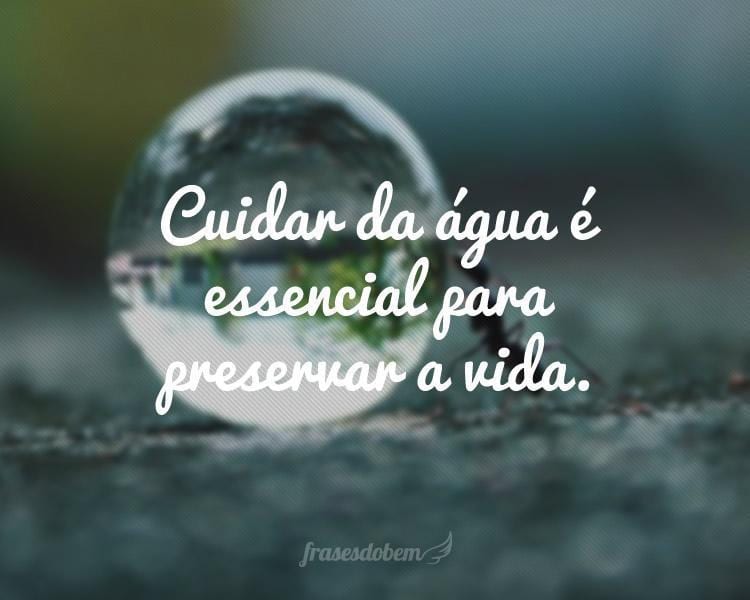 Cuidar da água é essencial para preservar a vida.