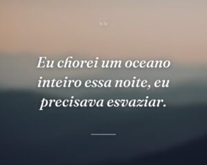 Eu chorei um oceano inteiro essa noite, eu precisava esvaziar.