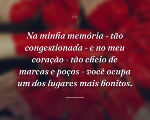 Na minha memória - tão congestionada - e no meu coração - tão cheio de marcas e poços - você ocupa um dos lugares mais bonitos.