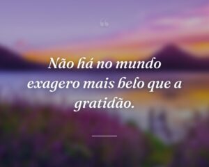 Não há no mundo exagero mais belo que a gratidão.