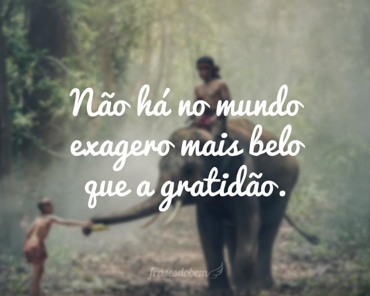Não há no mundo exagero mais belo que a gratidão.