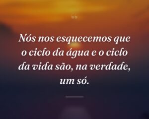 Nós nos esquecemos que o ciclo da água e o ciclo da vida são, na verdade, um só.
